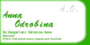 anna odrobina business card